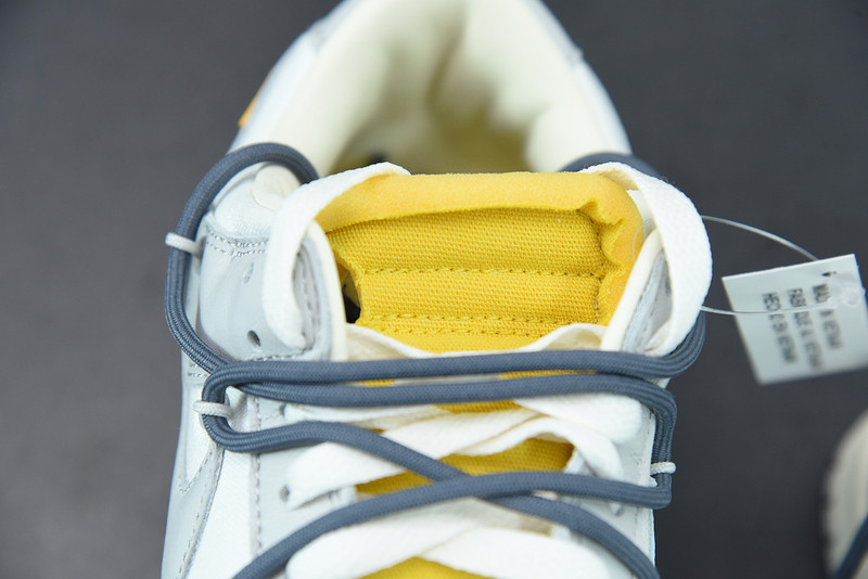 of x dunk low 