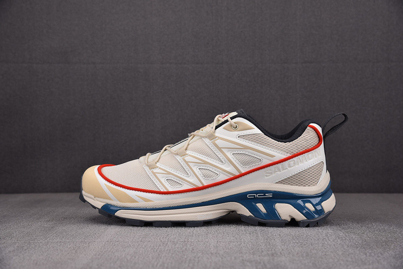 salomon xt-6