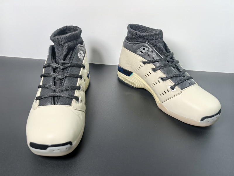 Air Jordan 17 Low 