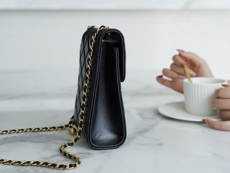 Ch**el purse